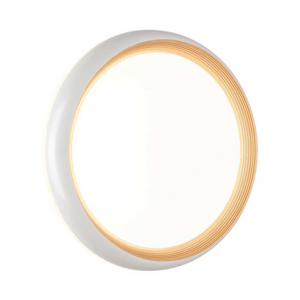 Настенно-потолочный светодиодный светильник Sonex Pale Tofiq White 7650/DL