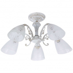 Потолочный светильник Reluce 74430-0.3-05