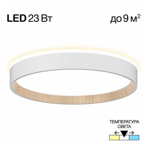 Потолочный светодиодный светильник Citilux Etalon CL750240