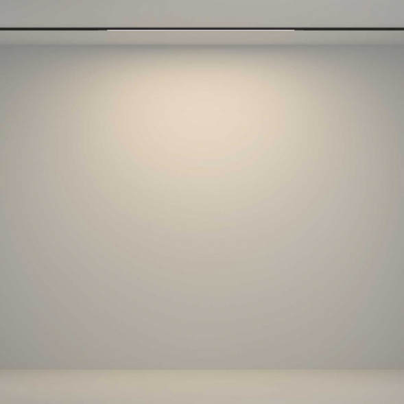 Трековый светильник Maytoni Technical TR180-1-12WTW-B