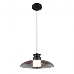 Подвесной светодиодный светильник Aployt Stefa APL.648.06.10