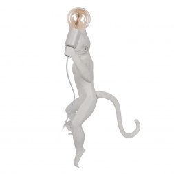 Настенный светильник Loft IT Monkey 10314W/B