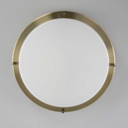 Накладной светодиодный светильник Citilux Бостон CL709323N