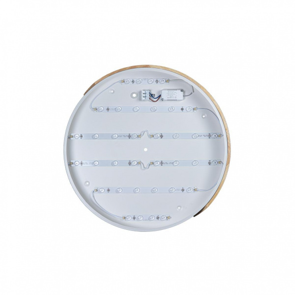 Потолочный светодиодный светильник Loft IT Axel 10004/36 white