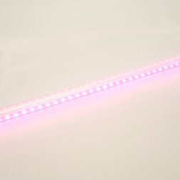 Лампа светодиодная для растений T8 Feron LB-7063 G13 стекло 0,6м 11W 175-265V красно-синий спектр 51662