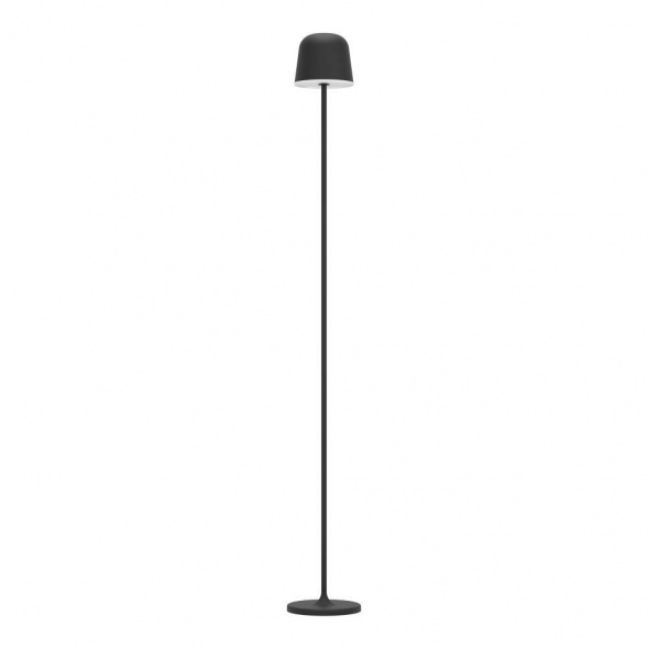Аккуммуляторный сенсорный торшер Eglo MANNERA-L 901748