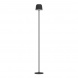 Аккуммуляторный сенсорный торшер Eglo MANNERA-L 901748