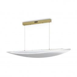 Подвесной светодиодный светильник Freya Cloud FR5441PL-L40G