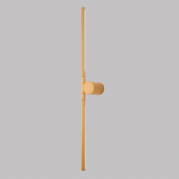 Настенный светодиодный светильник Crystal Lux CLT 058W2 GO