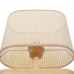 Настольная лампа Lumion County Maderana 8201/1T