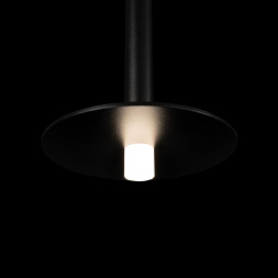 Подвесной светодиодный светильник Loft IT Reed 10358/830 Disk