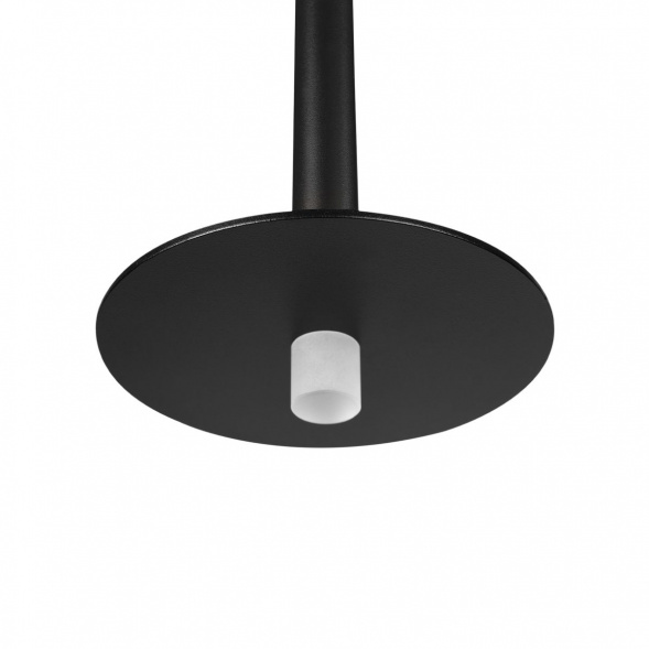 Подвесной светодиодный светильник Loft IT Reed 10358/830 Disk