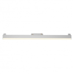 Трековый светодиодный светильник Maytoni Technical Basis TR074-2-20W3K-W