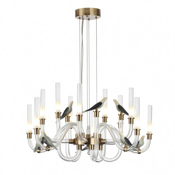 Подвесная светодиодная люстра Odeon Light L-Vision Lark 5431/30L