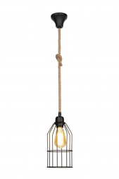 Подвесной светильник Toplight Alfreda TL1601H-01BK